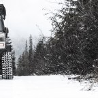 They say don’t wheel alone,  but I do and love it.