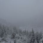 Molyb Bound – A Lesson in Limits